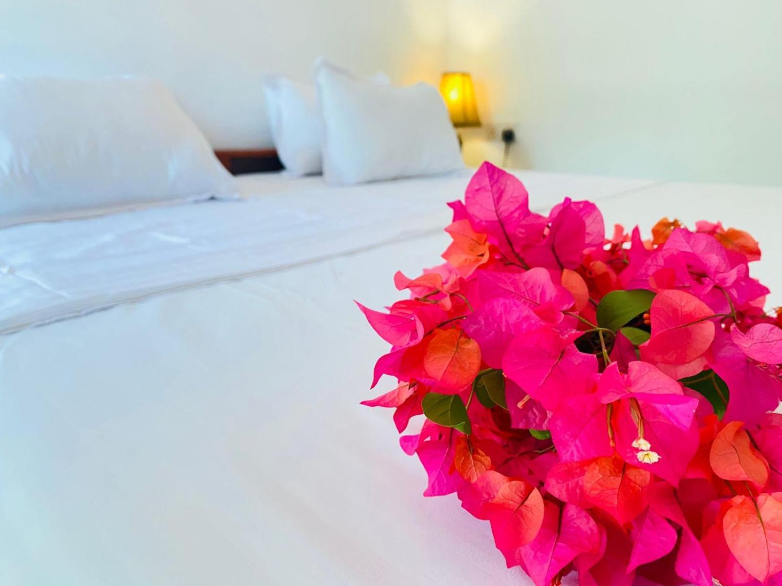 Aaliya Bay Hotel Arugam Bay Buitenkant foto